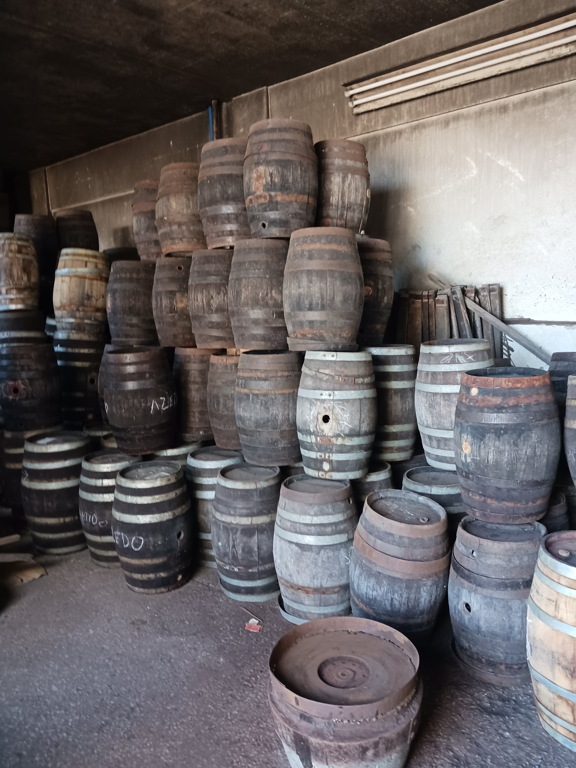 Historic wine barrels in traditional Setúbal Peninsula winery cellar