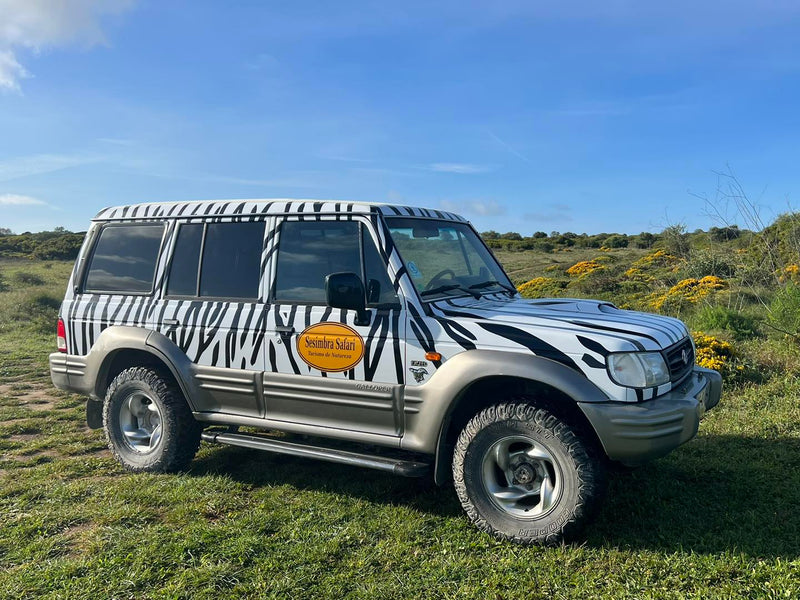 Hyundai Galloper