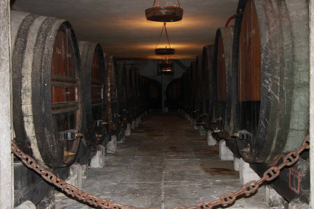 Corridor of aged oak wine barrels with dim lantern lighting, Adega Venâncio da Costa Lima historic wine cellar, Setúbal Peninsula, Portugal