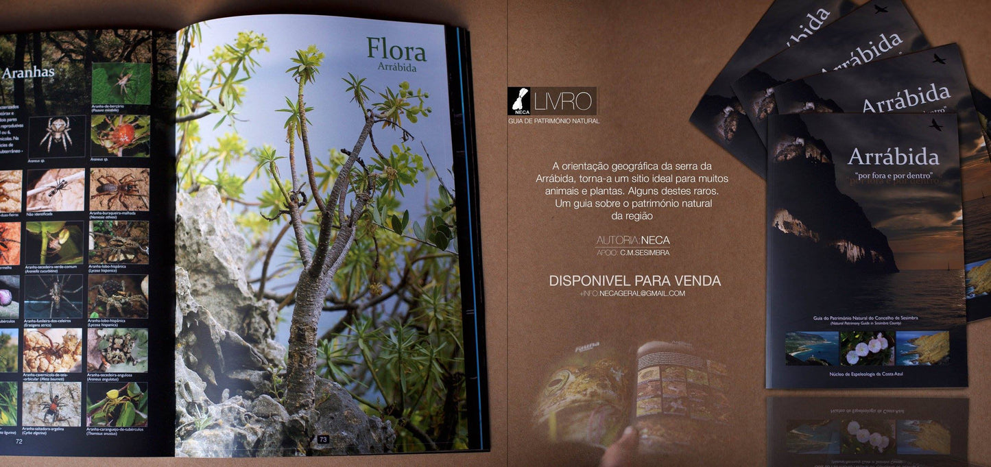 Arrabida nature guide book open showing flora and fauna pages alongside stacked book covers, Arrabida Natural Park wildlife reference book, Setubal Peninsula Portugal