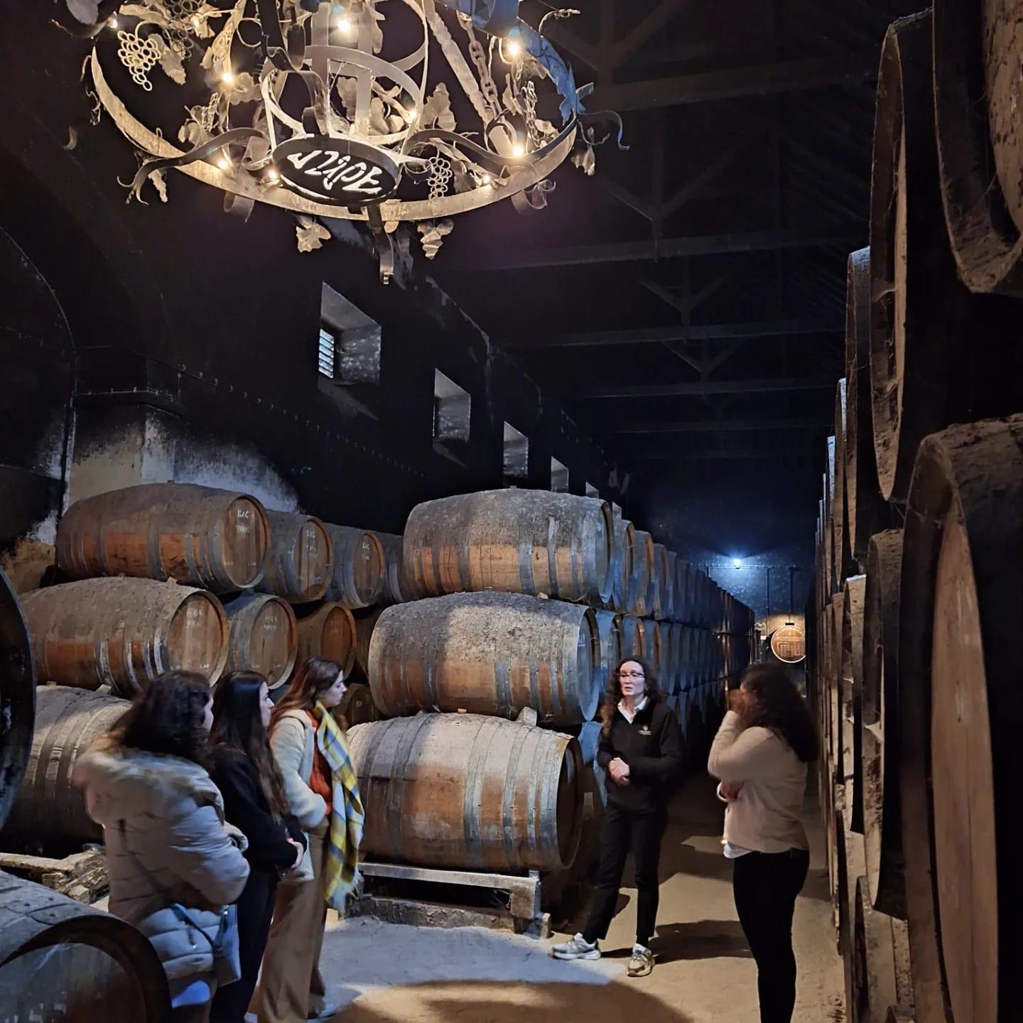 Guided wine cellar visit with oak barrels, private Untold Terroir tour, Setúbal Peninsula
